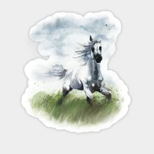 Watercolor horse Sticker